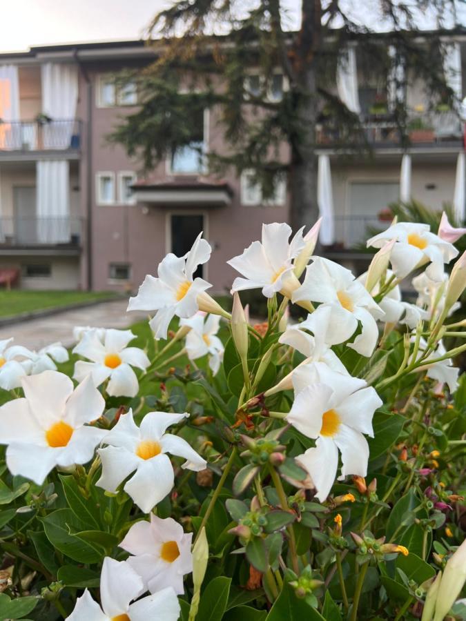 Otta House Garda Lake กัสเตลนูโอโว เดล การ์ดา ภายนอก รูปภาพ